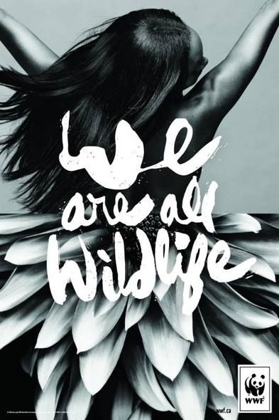 1530230460_114_Advertising-Campaign-Pour-WWF-nous-sommes-tous-des-animaux Advertising Campaign : Pour WWF, nous sommes tous des animaux