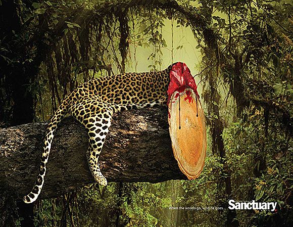 1532717918_126_Print-Advertising-Wildlife Print Advertising : Wildlife