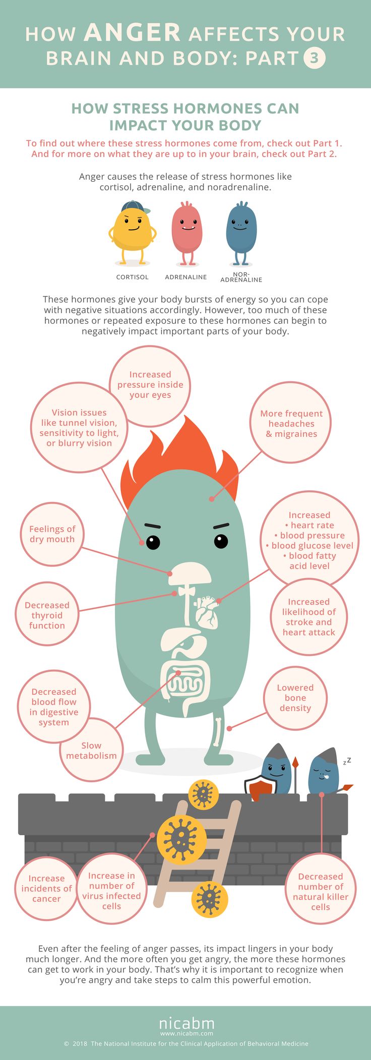 Psychology-Infographic-How-Anger-Affects-Your-Brain-and-Body-Infographic-Part-3 Psychology Infographic : How Anger Affects Your Brain and Body [Infographic - Part 3]