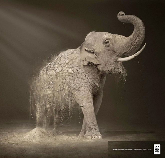 Print-Advertising-25-Best-and-Creative-Animal-themed-Print-Ads-for-your-inspiration-Read-full-ar Advertising Campaign : Hope (WWF Desertification Campaign)