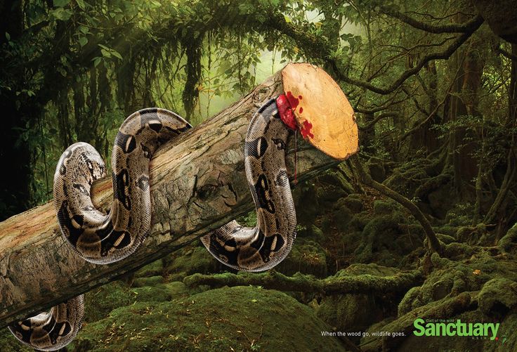 1536489641_962_Advertising-Campaign-When-the-wood-go-wildlife-goes.-Sanctuary.-Nature-Animals-Forest-Jungle Advertising Campaign : "When the wood go, wildlife goes." Sanctuary. #Nature #Animals #Forest #Jungle #...