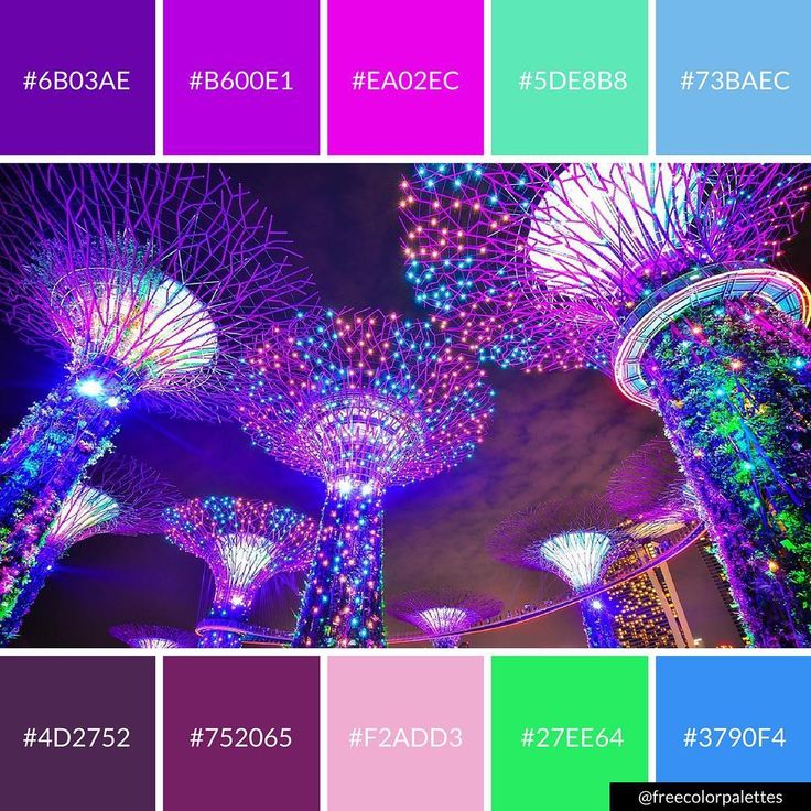 Psychology-Infographic-Beautiful-City-Lights-Color-Palette-Inspiration-Great-for-digital-art-and-bran Psychology Infographic : Beautiful City Lights | Color Palette Inspiration Great for digital art and bran...