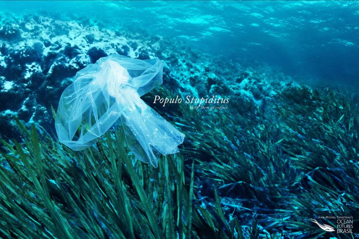 1538661575_707_Advertising-Campaign-Adeevee-Jean-Michel-Cousteau39s-Ocean-Futures-Brasil-Help-them-go-extinct Advertising Campaign : Adeevee - Jean-Michel Cousteau's Ocean Futures Brasil: Help them go extinct