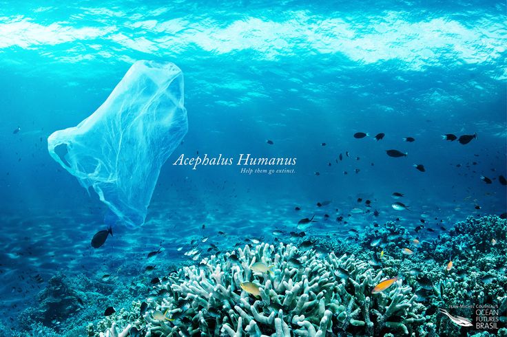 1538665285_305_Advertising-Campaign-Adeevee-Jean-Michel-Cousteau39s-Ocean-Futures-Brasil-Help-them-go-extinct Advertising Campaign : Adeevee - Jean-Michel Cousteau's Ocean Futures Brasil: Help them go extinct