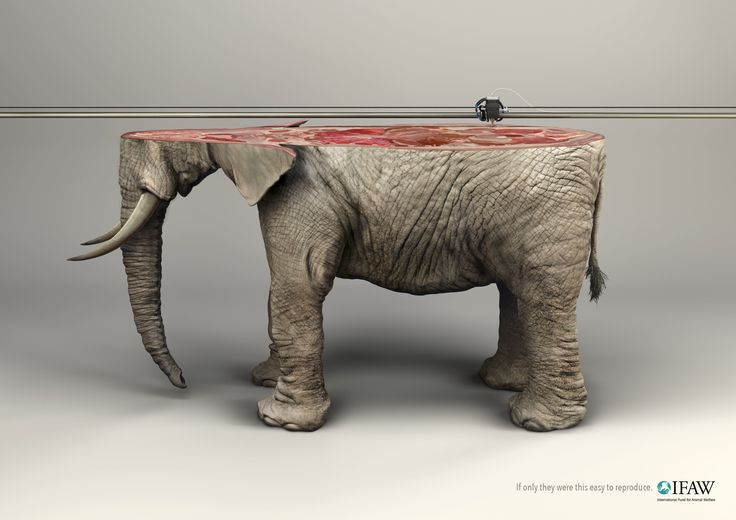 1540287430_732_Advertising-Campaign-IFAW-NGO-3D-Printer-If-only-they-were-this-easy-to-reproduce.-Advertising-Ag Advertising Campaign : IFAW NGO: 3D Printer If only they were this easy to reproduce.    Advertising Ag...