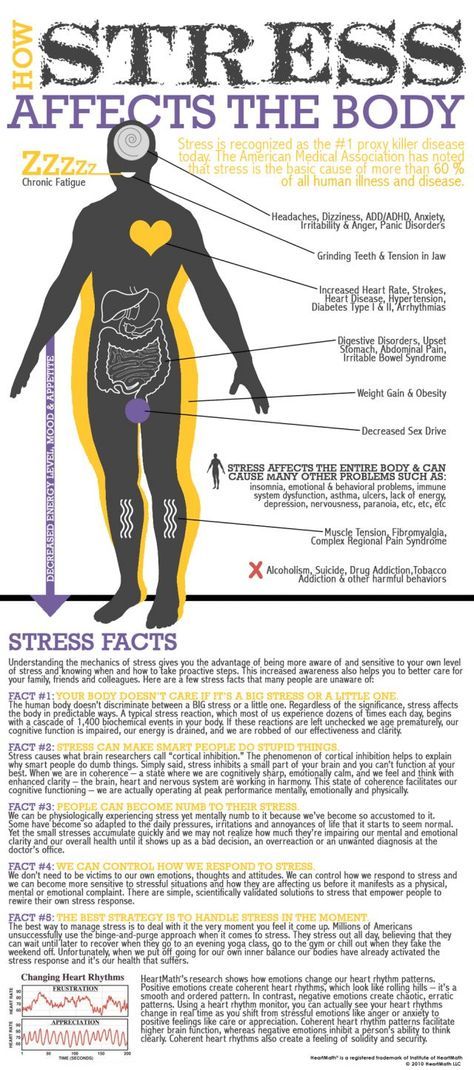 1546164147_355_Psychology-Infographic-Infographic-This-Is-Your-Body-on-Stress.-I-didn39t-realize-how-stressed-I-wa Psychology Infographic : Infographic: This Is Your Body on Stress. I didn't realize how stressed I wa...