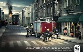 1546185003_456_Advertising-Campaign-WWF-You-can39t-afford-to-be-slow-in-an-emergency Advertising Campaign : WWF You can't afford to be slow in an emergency