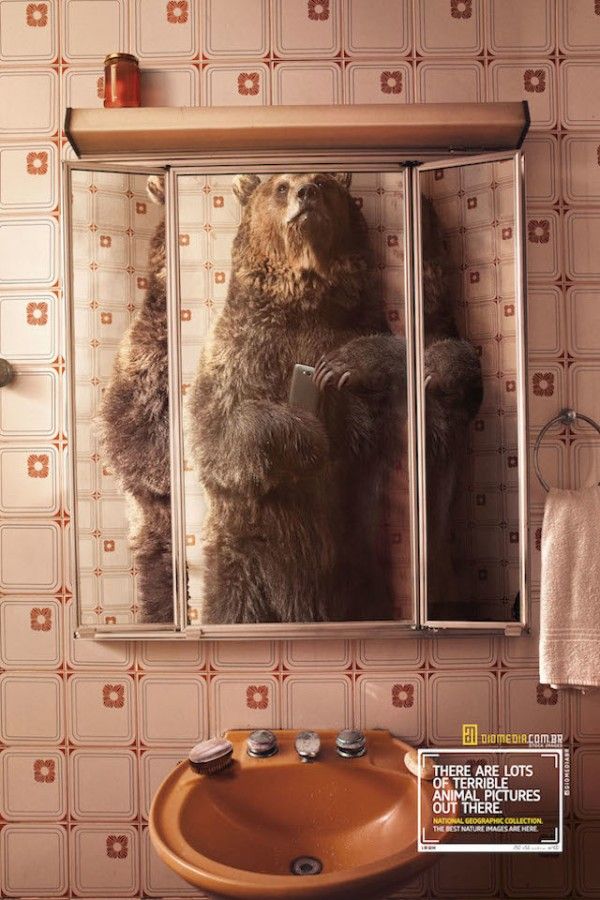 1546408594_891_Advertising-Campaign-Animal-Selfies-Creative-Ad-Campaign-for-National-Geographic Advertising Campaign : Animal Selfies, Creative Ad Campaign for National Geographic