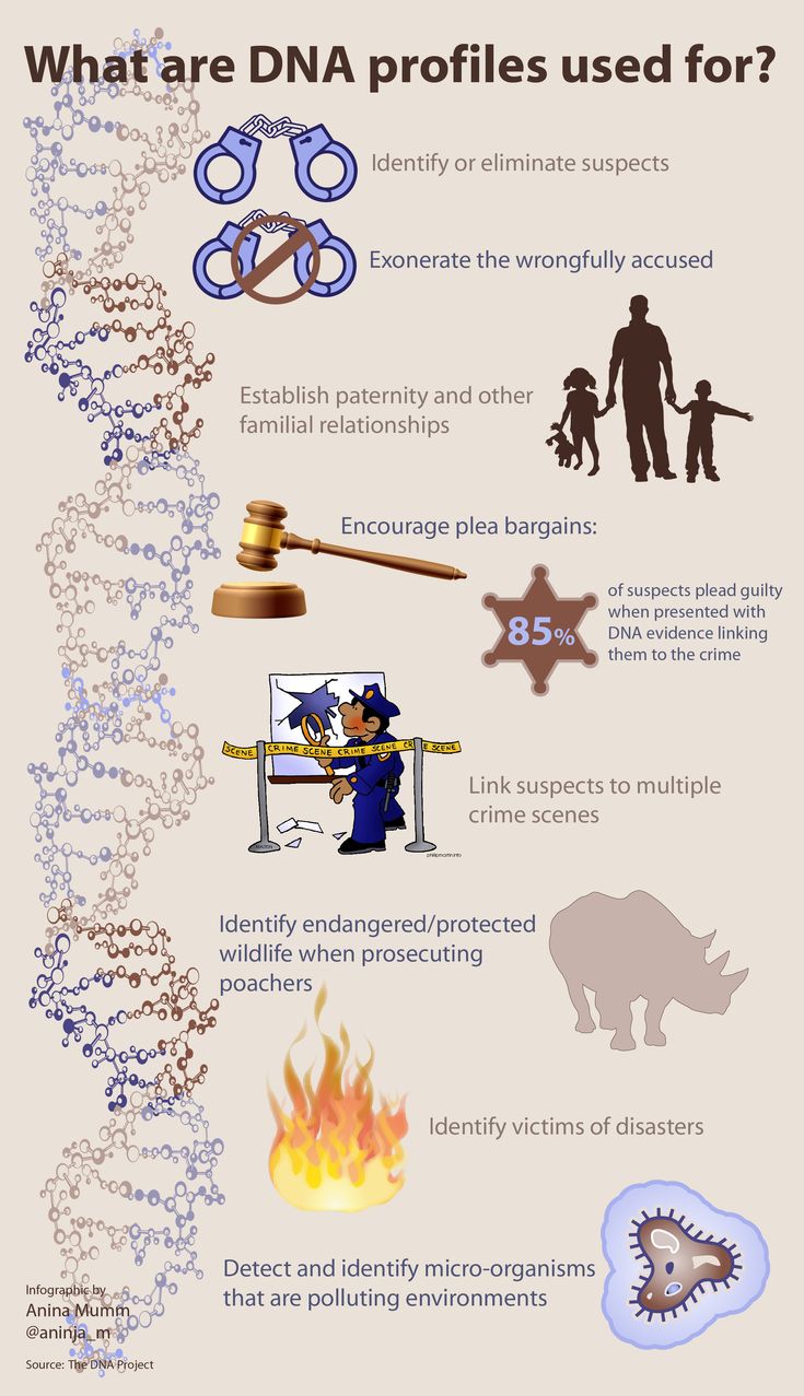 1547204484_624_Psychology-Infographic-Infographic-What-DNA-profiles-are-used-for-info-courtesy-of-the-DNA-Project3 Psychology Infographic : Infographic: What DNA profiles are used for (info courtesy of the DNA Project&#3...