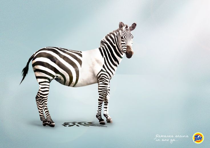 1547626041_485_Advertising-Campaign-Adeevee-Tide-Leopard-Zebra-Dog Advertising Campaign : Adeevee - Tide: Leopard, Zebra, Dog