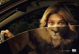Advertising-Campaign-Zoo-Safari-Great-ad-Google-Search Advertising Campaign : Zoo Safari - Great ad - Google Search