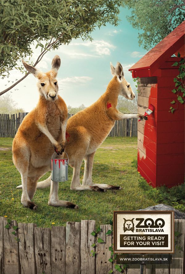 1549279530_41_Advertising-Campaign-Zoo-Bratislava-by-Ivan-Holic-via-Behance Advertising Campaign : Zoo Bratislava by Ivan Holic, via Behance