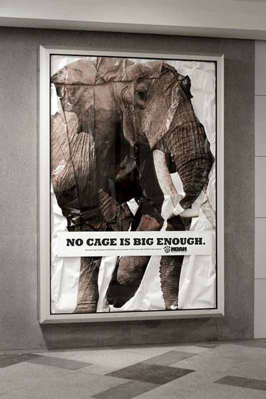 Advertising Campaign : Anti-zoo campaign for NOAH - No ...