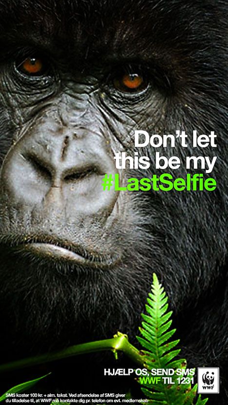 Advertising-Campaign-WWF-Denmark-and-Turkey-on-Snapchat-Dont Advertising Campaign : WWF Denmark and Turkey on Snapchat: Don't let this be my #Lastselfie. Endangered...
