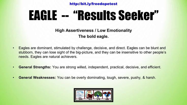 infographic-eagle-personality-type-dope-4-bird-personality-test-results-advertisingrow
