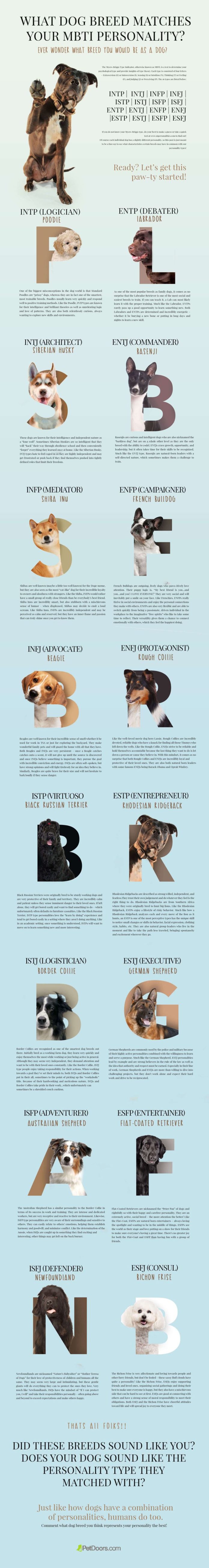 test to figure out dog breed