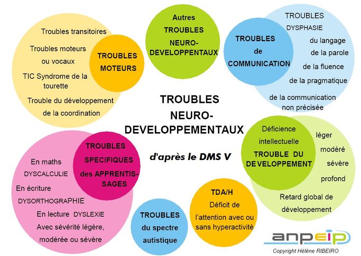 Psychology-Infographic-Troubles-neuro-developpementaux-selon-le-DMS-V Psychology Infographic : Troubles neuro-développementaux selon le DMS V