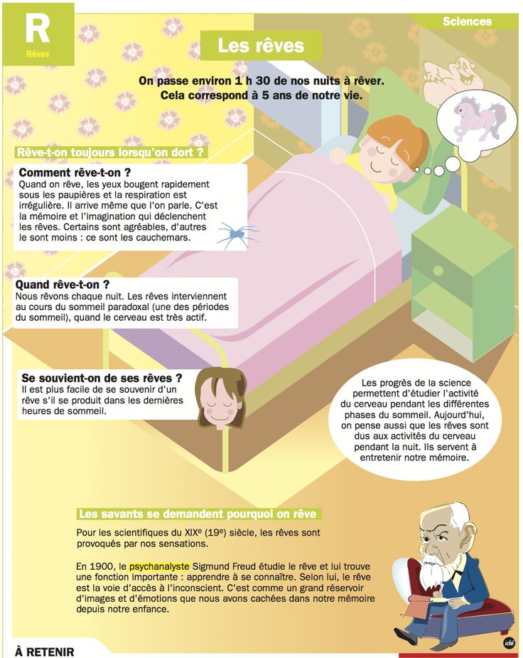 Psychology-Infographic-Les-reves Psychology Infographic : Les rêves