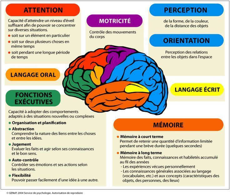 Psychology-Infographic-Schema-simplifie-des-grandes-fonctions-du-cerveau Psychology Infographic : Schéma simplifié des grandes fonctions du cerveau                             ...