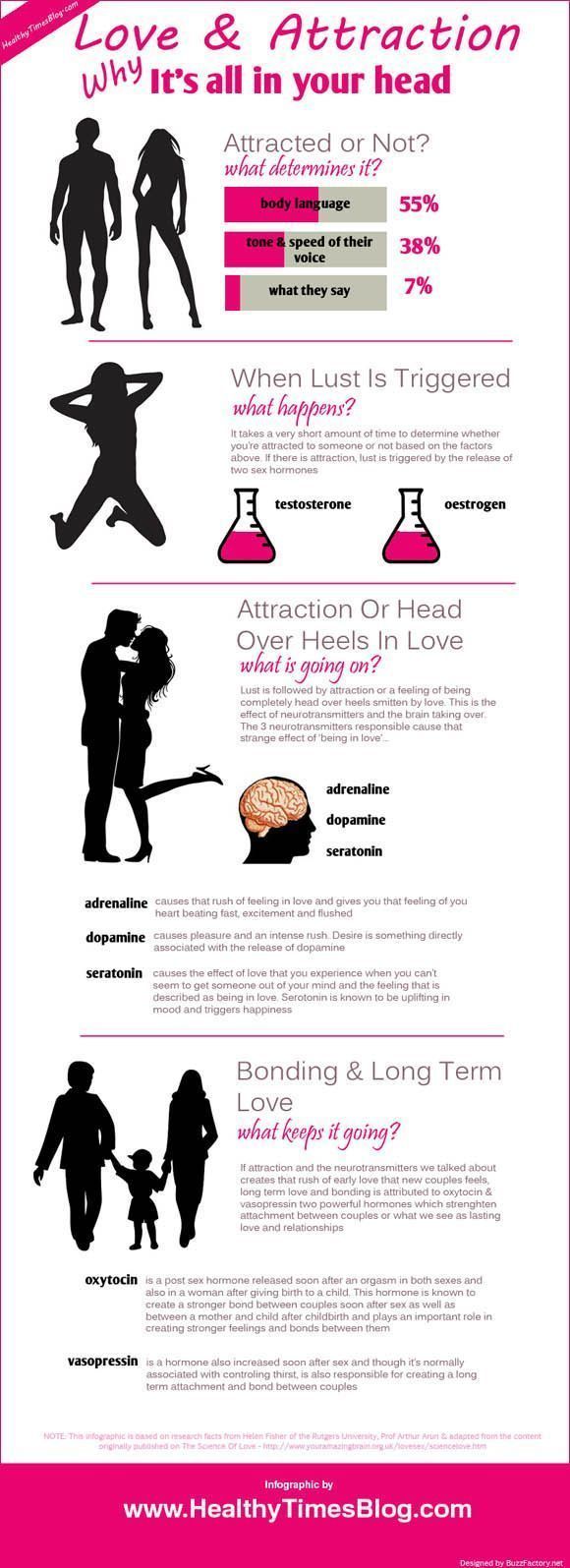1568979186_683_Psychology-Infographic-Psychology-Psychology-Psychology-Psychology Psychology Infographic : Psychology : Psychology : Psychology : Psychology : Love & Attraction infographic #online dating infograph...