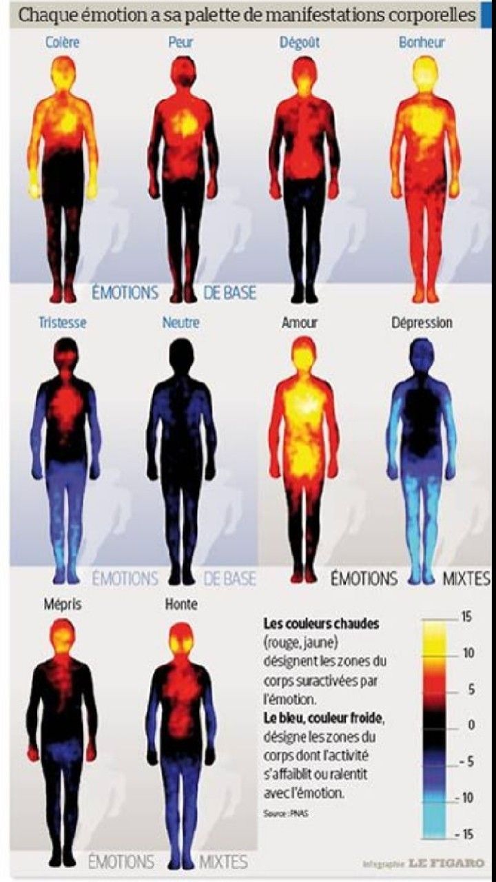 Psychology-Infographic-Les-effets-des-emotions Psychology Infographic : Les effets des émotions