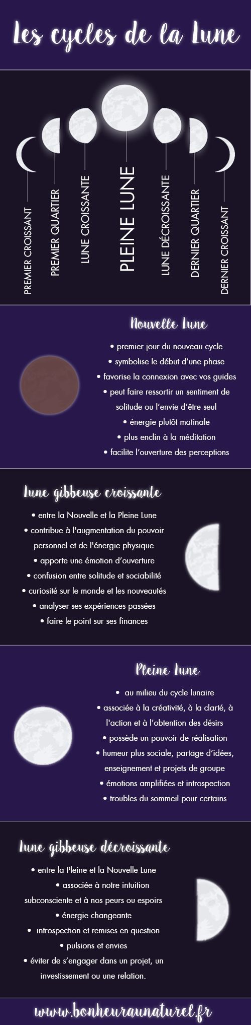 Psychology-Infographic-Les-mysteres-des-cycles-lunaires Psychology Infographic : Les mystères des cycles lunaires