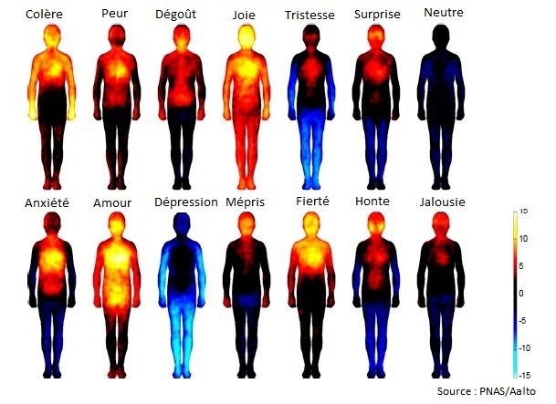 Psychology-Infographic-Les-zones-du-corps-humain-qui-reagissent Psychology Infographic : Les zones du corps humain qui réagissent aux émotions
