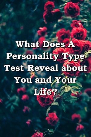 1572646119_744_Infographic-What-Does-A-Personality-Type-Test-Reveal-about Infographic : What Does A Personality Type Test Reveal about You and Your Life?