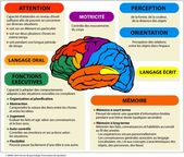 Psychology-Infographic-Schema-simplifie-des-grandes-fonctions-du-cerveau Psychology Infographic : Schéma simplifié des grandes fonctions du cerveau Plus