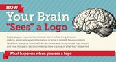 Advertising-Infographics-How-Your-Brain-“Sees”-A-Logo-According Advertising Infographics : How Your Brain “Sees” A Logo, According To Science