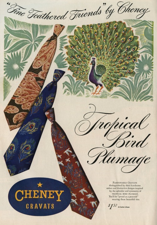 Advertising-Inspiration-Tropical-Bird-Plumage-1946Source Advertising Inspiration : Tropical Bird Plumage [1946]Source:...