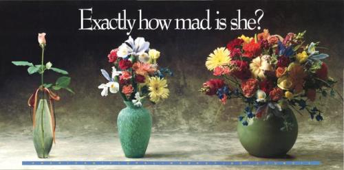 Advertising-Inspiration-Exactly-how-mad-is-she-670x332-Dean Advertising Inspiration : Exactly how mad is she? [670x332] Dean Buckhorn for the American...