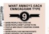 Infographic : Ashton Whitmoyer-Ober on Instagram: “A couple of days ago I asked you your #enneagramtype and what annoys you the most. Here are their stories DUNDUN… I mean here are your…”