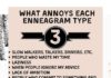 Infographic : Ashton Whitmoyer-Ober on Instagram: “A couple of days ago I asked you your #enneagramtype and what annoys you the most. Here are their stories DUNDUN… I mean here are your…”