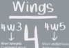 Infographic : Ashton Whitmoyer-Ober on Instagram: “Kicking off our discussion on wings with a back to the basics series!”