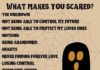 Infographic : Ashton Whitmoyer-Ober on Instagram: “These are all things that YOU said makes you scared! Comment below 👇🏼 alternative answers!”