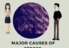 Infographic : Major Causes of Stress – Learn2LiveFully