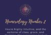 Infographic : Numerology Number 2: Life Path and Traits – Psychic Readings Guide