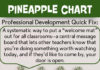 Infographic : Pineapple Chart – Instructional Coaching