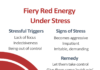 Infographic : Recognising signs: Stress and the Insights Discovery colour energies | The Colour Works