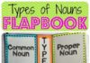 Infographic : Types of Nouns – Interactive Notebook Freebie!