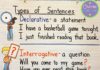 Infographic : Types of Sentences- An Anchor Chart and FREE Resources!